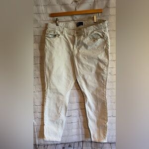 Gap Denim Womens Size 31 Regular Light Blue Pin stripe Legging Ankle Pants